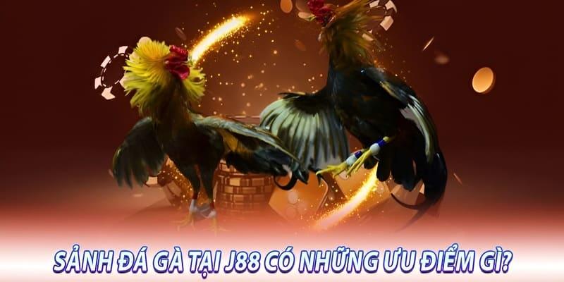 5 điểm mạnh nổi bật của sân chơi