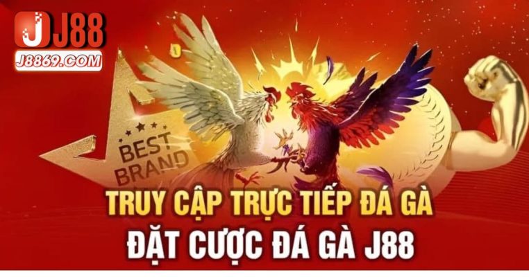 Cách tham gia trực tiếp đá gà J88